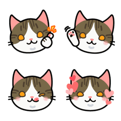 brown tabby and white cat | Emoji