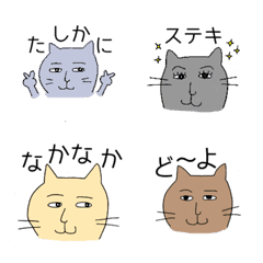 Hitoshi cat
