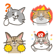 Daily cats Emoji for cat lovers.