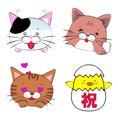 3 brothers of cat moving emoji