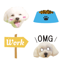 Bibi Emoji dog