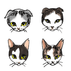 18 Cat's Crinkly Eyes Emoji + 12 Extra
