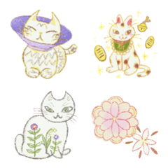 Spring cats