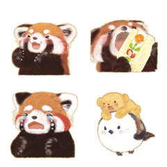 Pohe si panda merah / Binatang / emoji