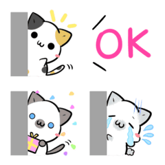 Cat move emoji that can used every day2