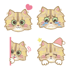 Persian cat (long hair) Emoji