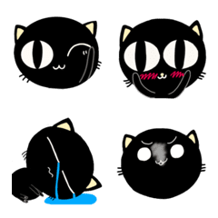 facial expression of a cute black cat