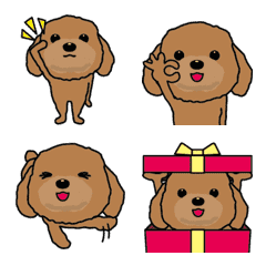 Animation! Red color toy poodle