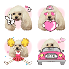 Toy Poodle Crea Emoji
