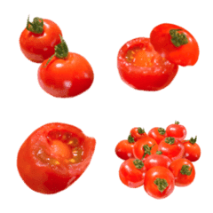 I love tomato 1