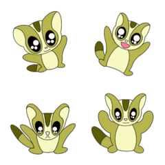 Flying squirrel Midorin 2 (Emoji)