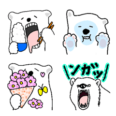 Polar bear Shiro-kun
