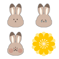 The wild rabbit Haru-chan