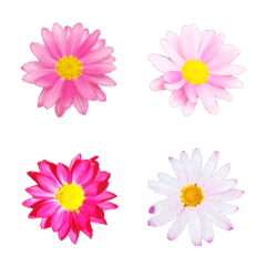 Margaret flower emoji