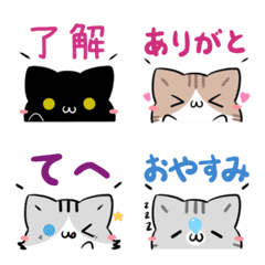 Cats move emoji that can used every day3