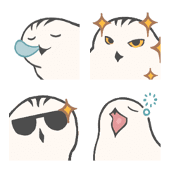 Snowy Owl Gomako is Sleepy