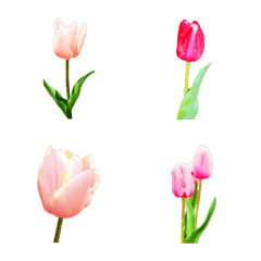 tulip flower emoji