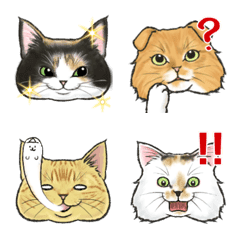 Real cat pattern Emoji