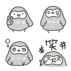 Daruma OWL
