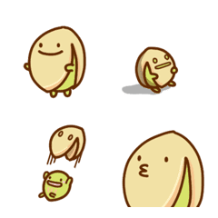 Pistachio everyday emoji