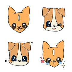 [Chihuahua Club] Greeting Emojis