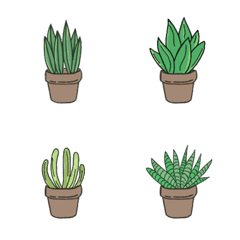 Cactuses