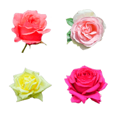 薔薇お花絵文字3