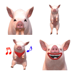 Moving, cute pig Emoji