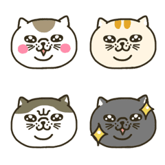 Busakawa cat