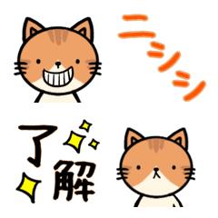 Cat-chan's moving emotions - emoji