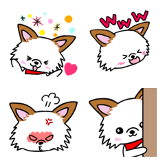 Chihuahua with cute  emoji