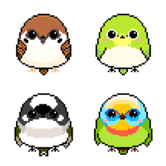 Taiwan Pixel Bird Balls