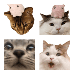 shishichikeemoji2