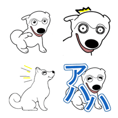 White Shiba Inu(dog) is fine