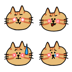 blush cat_tabby