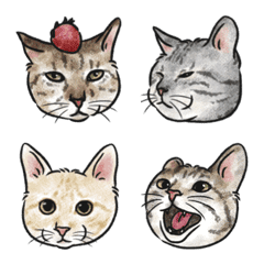 貓咪集合 emoji