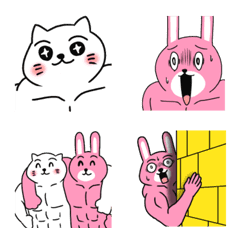 Muscle cat and rabbit 1