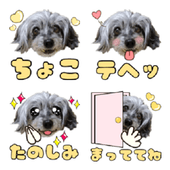 Dappu Choco Emoji
