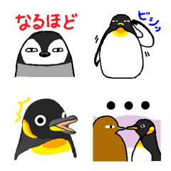 Lovely penguin