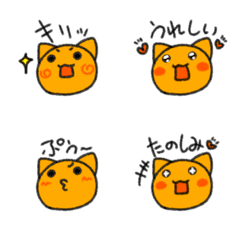 Doodle cat's orange
