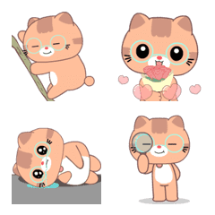 Ginger Cat : Animated emoji
