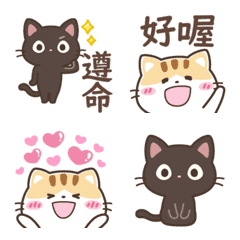 Black cat & Calico cat Animated Emoji tw