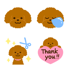 Brown Toy Poodle Emoji:)