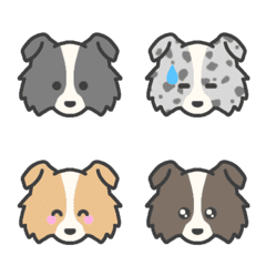 Border Collie*emoji Semi-crop