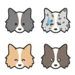 Border Collie*emoji Prick ears