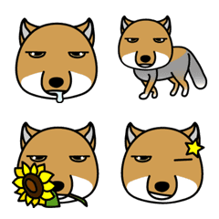 Tibetan Fox Emoji Vulpes Ferrilata