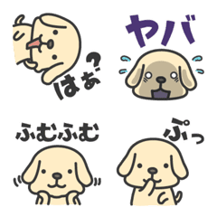 Dogs of various expressions03