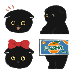 [Resale] Black cat