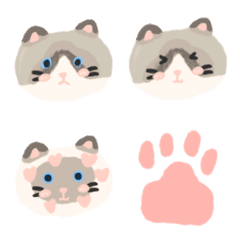 cat meow meow cattery