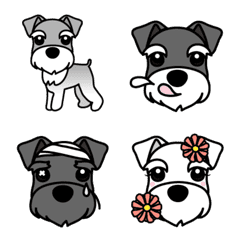 Various Miniature Schnauzer Emoji